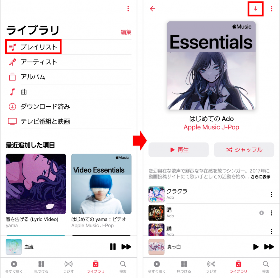 Apple Music　ダウンロード