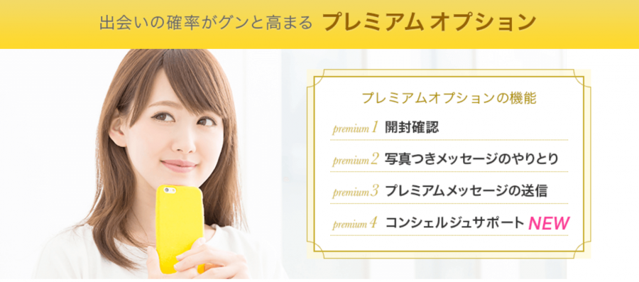プレミアムオプション