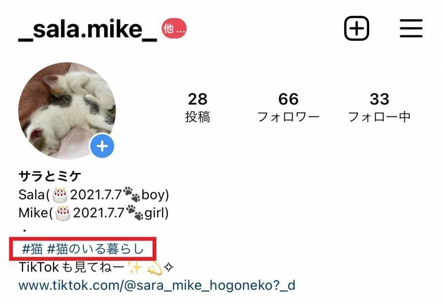インスタのプロフィールがおしゃれに大変身 自己紹介を可愛くするコツ Appliv