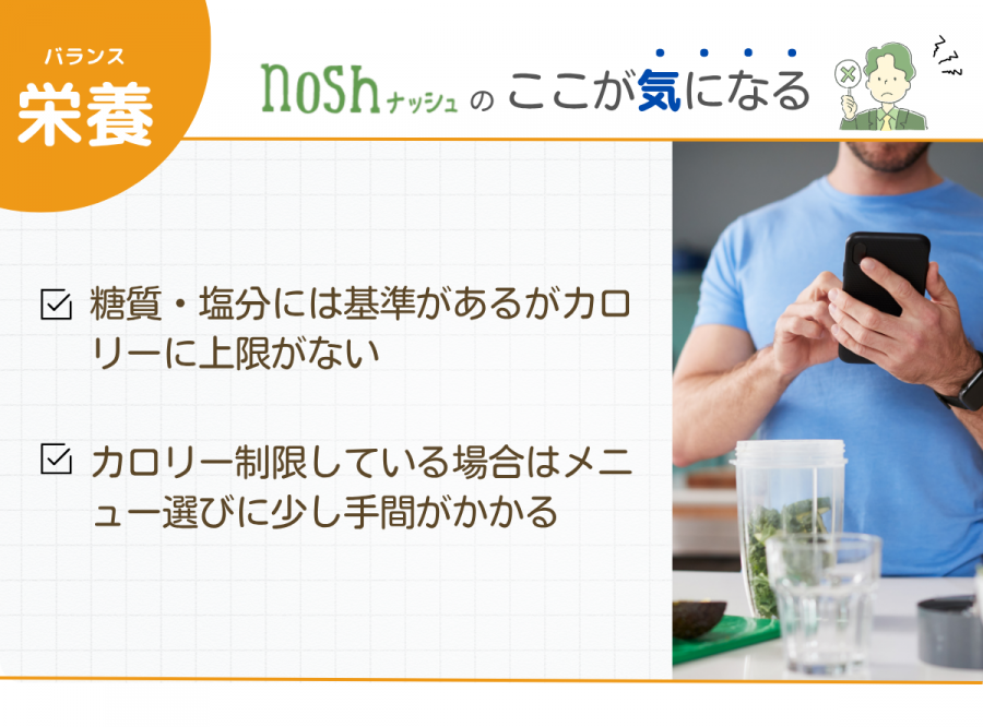 ナッシュ 栄養 気になった点