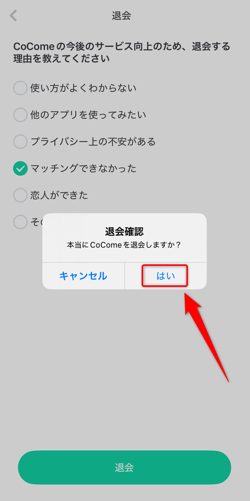 確認画面で「はい」をタップ