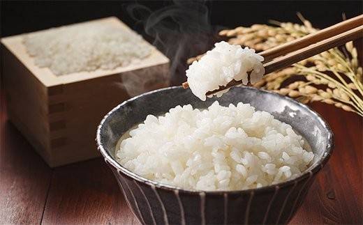 山形産 特別栽培米 つや姫 10kg(5kg×2)