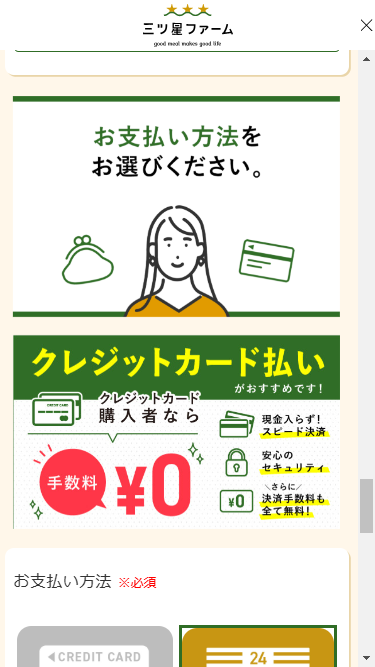 特設サイト　支払い方法を入力