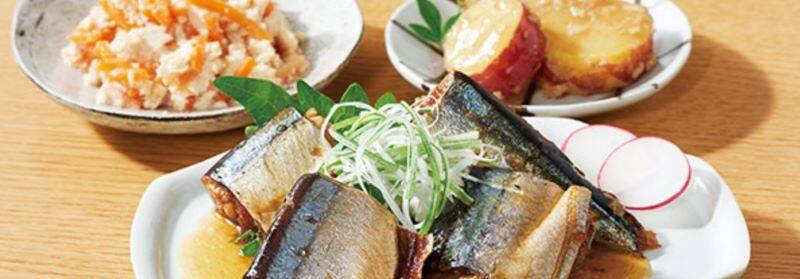 健康三菜(主菜・副菜)セット イメージ