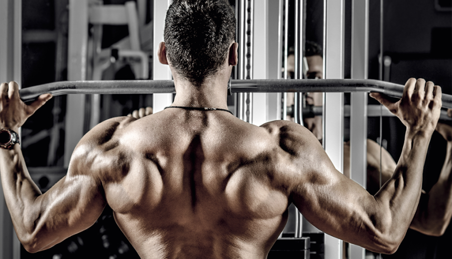 バルクアップコースの画像