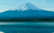 フレシャス富士の画像