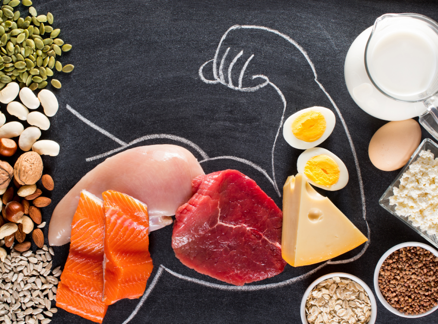 タンパク質と食事のイメージ画像