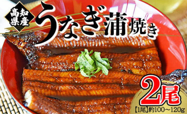 高知県産養殖うなぎ蒲焼き 100～120g 2尾セット