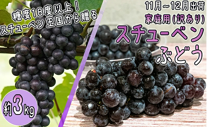 11～12月 津軽ぶどう村 家庭用 スチューベン ぶどう約3kg 秀～秀A【訳あり】【青森ぶどう 鶴田町産 11月 12月】