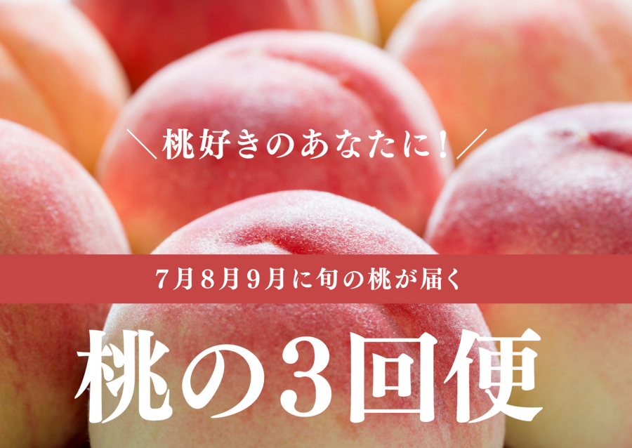 7【きよとう】桃好きの為の、桃３回便！（家庭用・定期便）