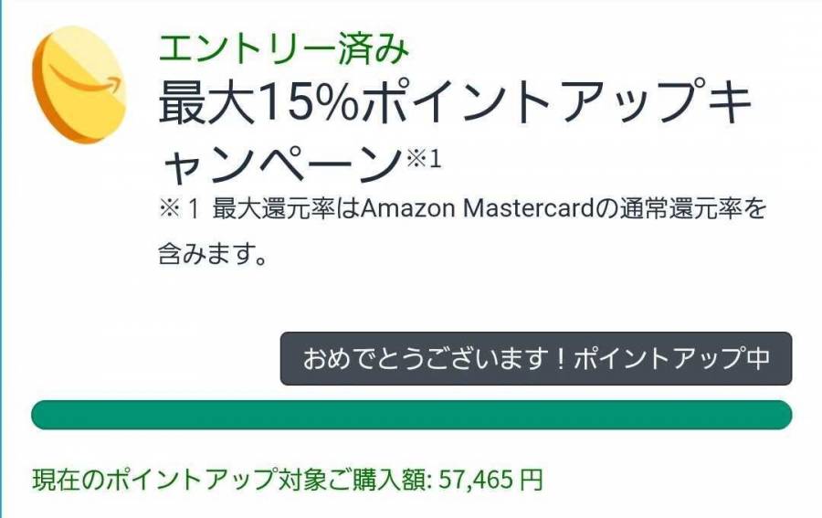 ポイントアップキャンペーンの確認