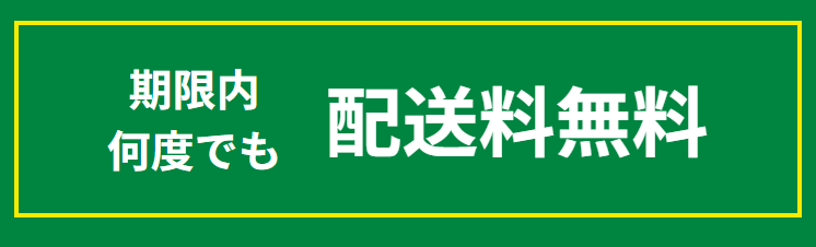 グリーンビーンズ2回目以降のクーポン