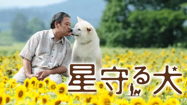 星守る犬の場面写真