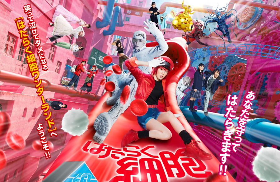 実写映画 はたらく細胞