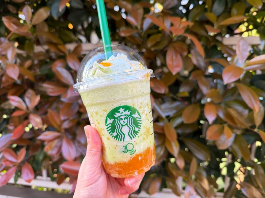 THE フラペチーノ of メロン of メロン