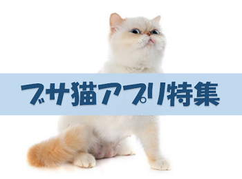 祝 ねこの日 猫好きなら当然愛せるでしょ ブサ猫 アプリ特集 Appliv Topics