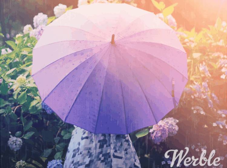 写真加工アプリ Werble の使い方 雨や花を降らせて画像をクールに大変身 Appliv Topics