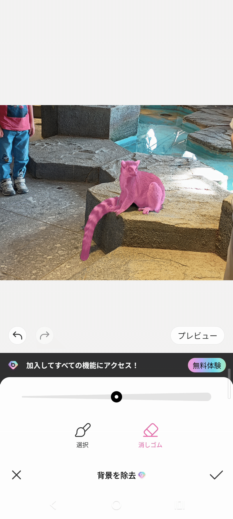 『BeautyPlus』での背景透過前後の画像