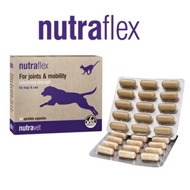 NUTRAVET NUTRAFLEX 骨骼關節營養膠囊(貓狗合用) (60粒裝)